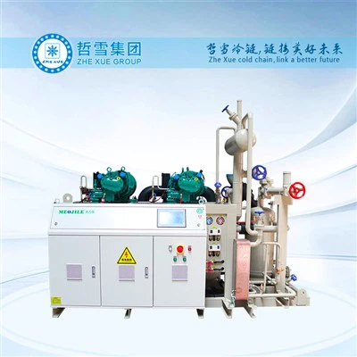 יחידת עיבוי תעשייתית עם מתלי מדחס בורג ביצר